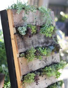Pallet garden